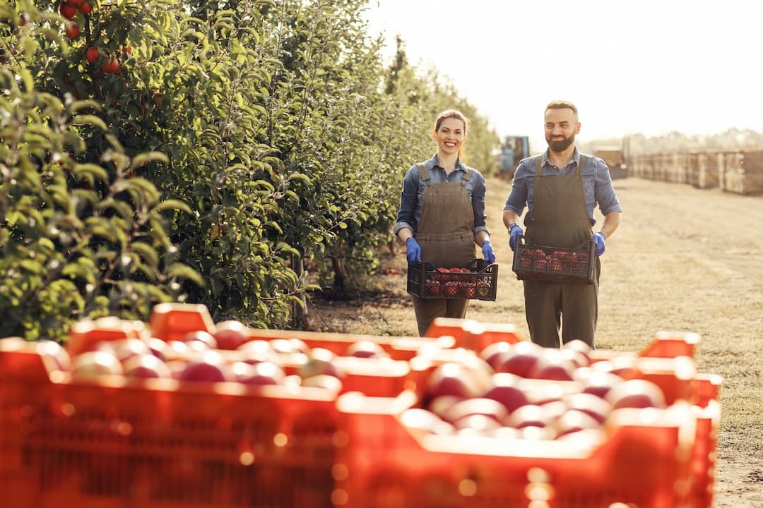 Smiling farm workers carrying cases with fruits